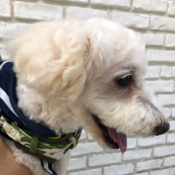 24f1fbbe d9df 461e a2d6 cef6164f2bdd 1532299879549