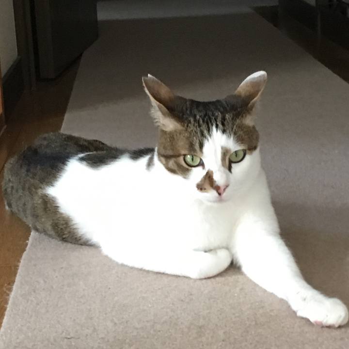 24f20632 89bf 40d6 9030 1e253ae95ba3 1525240575670