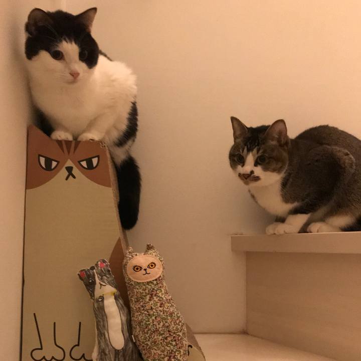 24f22654 9917 4162 8e7b 11bacfcefb50 1519300248675