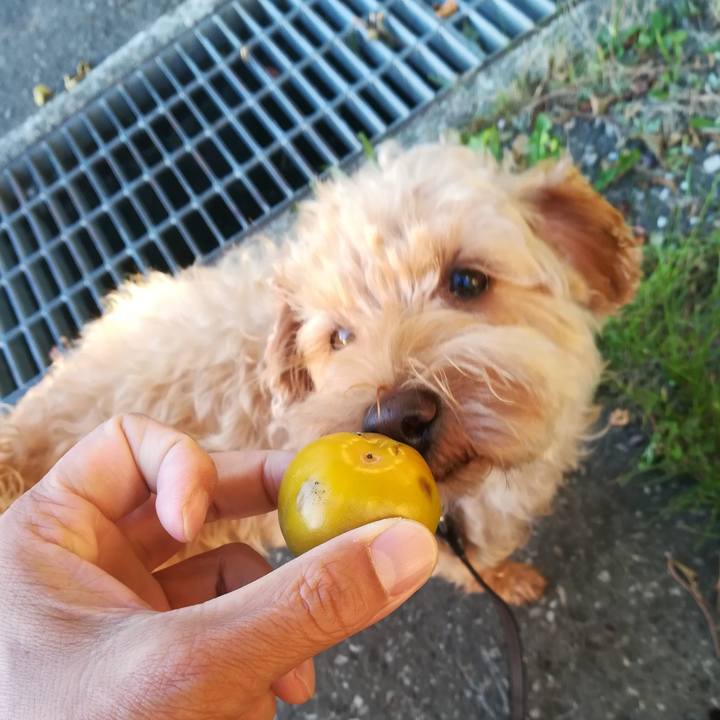 24f2432b 63bf 4563 b802 445def1c75bf 1537477215137