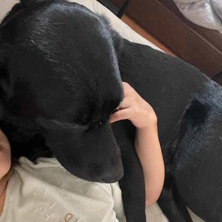 24f24cda 73f5 468f b570 10ed7708eb13 1653957052819