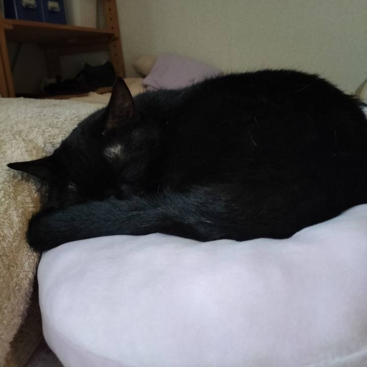 24f2743c fedf 41c1 bb0e d58fd7fd0718 1663919312755