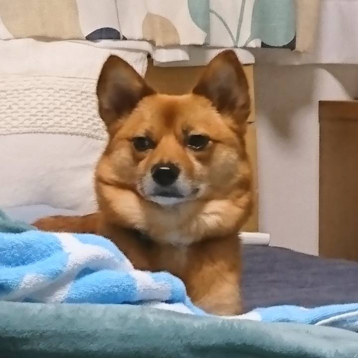 24f2cc7f 53f4 4f9f b5ca 412e8f20bd2a 1538271689219