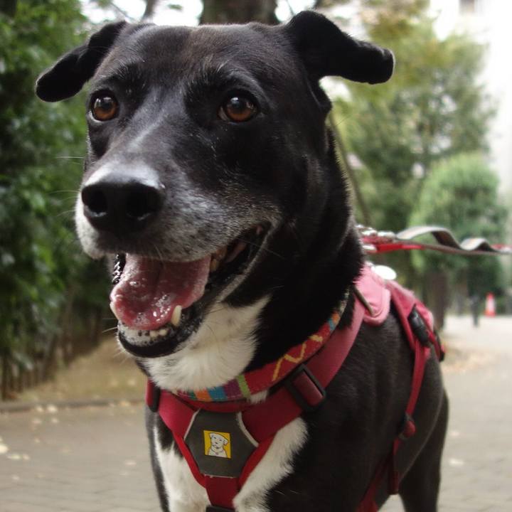 24f2cc9e 2d02 4304 8f96 5017d9b2b875 1699578672221