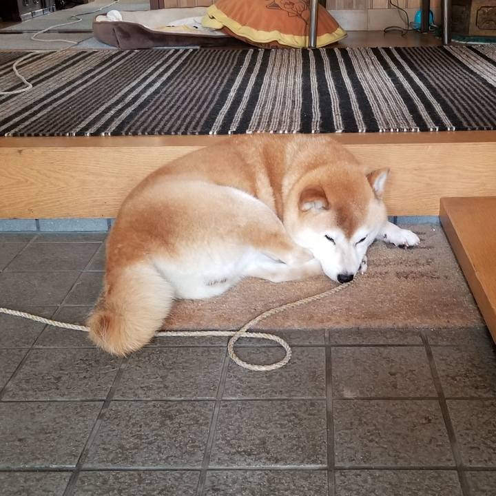 24f31831 e99d 4a5f 8153 945590c3b22f 1591920309449