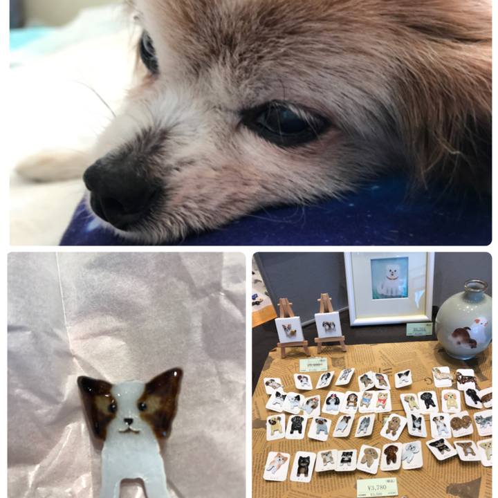 24f32f44 da91 4ea7 bf76 d3894ea6738d 1528868756871