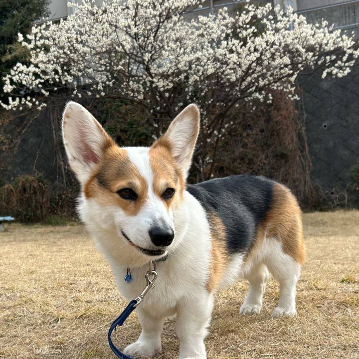 24f3698d c8c8 4216 b99c 7938580ce878 1771903242521