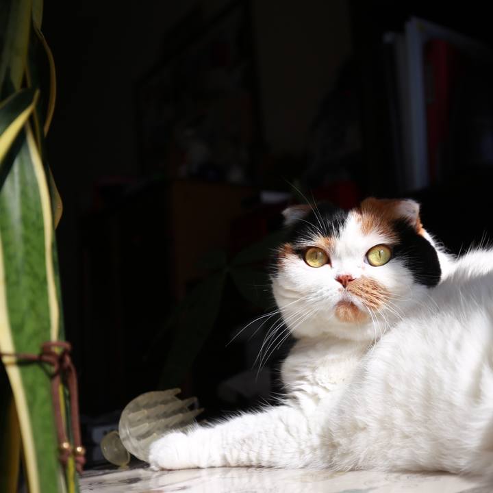 24f371e5 c639 425b ae2e b95eff8227b3 1568679268624