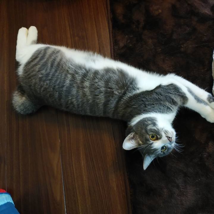 24f392e5 2cd9 4d8f 8776 7422cbbbca95 1576452764937