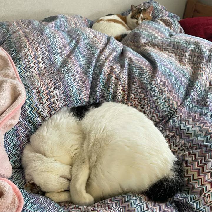 24f3a296 0aba 4d30 9c6a ffb9d3b257cd 1608616925691