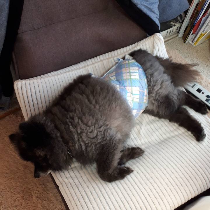 24f3b38d 6e17 4982 a6ec 2b65ad3a7477 1542669954441