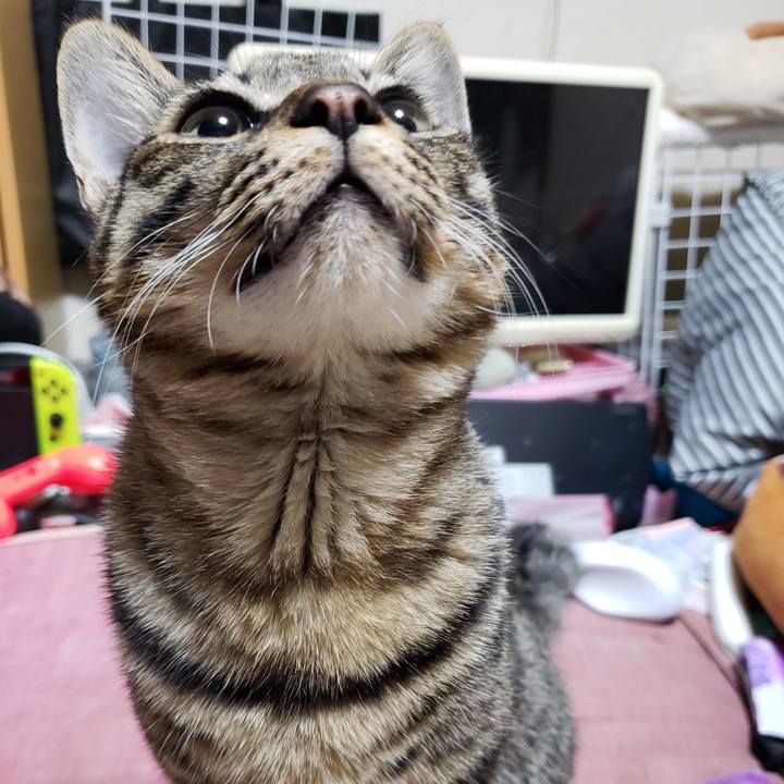 24f3ca4c 152a 4050 8d81 8970a512dacc 1545479264072