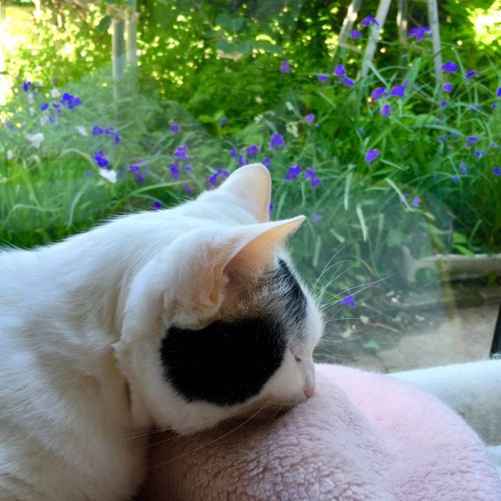 24f3da1d 0bbb 4903 9057 83d90dde53b2 1559184821083