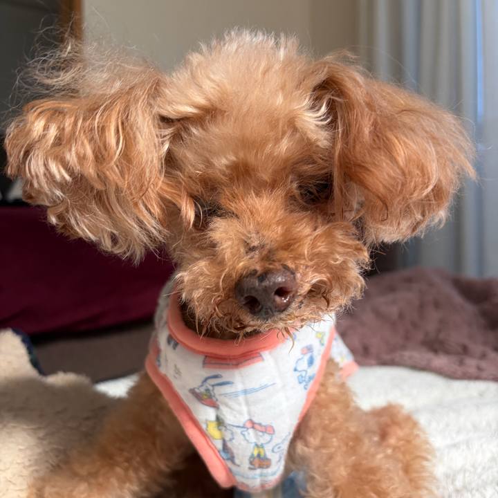 24f3ef99 0ea8 4028 9804 a4a4ed2cdaf1 1763424196898