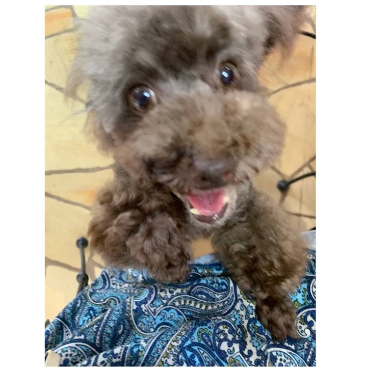 24f3efe0 1237 4f39 9eec 272d84582991 1563780381147