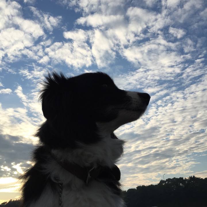 24f3f8bc 107f 443e bb26 3af2b5756a0f 1540247457287