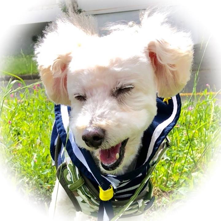 24f4035c 88b6 4272 93e2 15008d532345 1530111936330