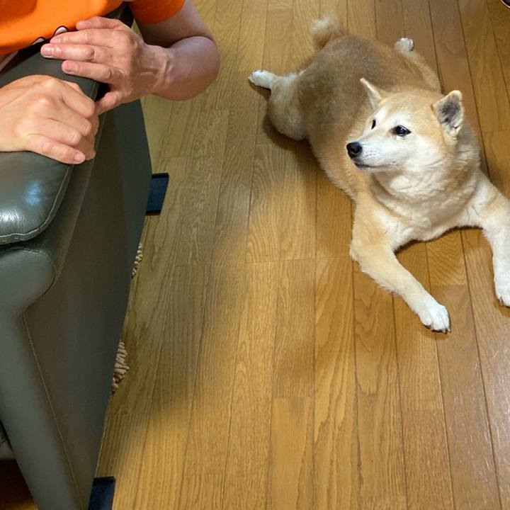 24f41047 597d 4777 921b 98ffbaada14b 1625743938910