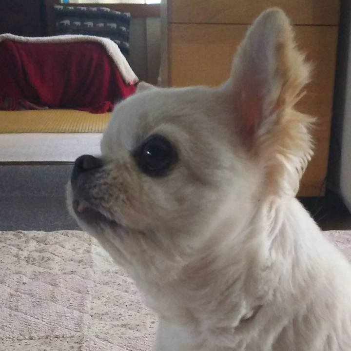 24f43603 495d 4496 bfdf 087be5debcbd 1514524301503