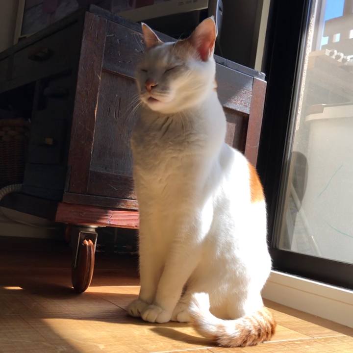 24f44259 dfe7 4f1f bcad 22615dc1549b 1582504334029