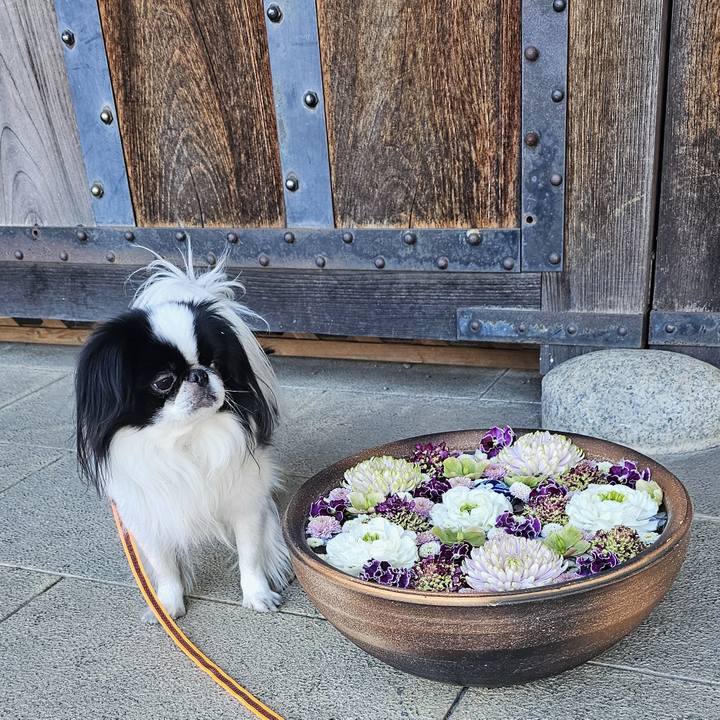 24f4517b be0e 4c75 a81c 8349885ff126 1738926412600