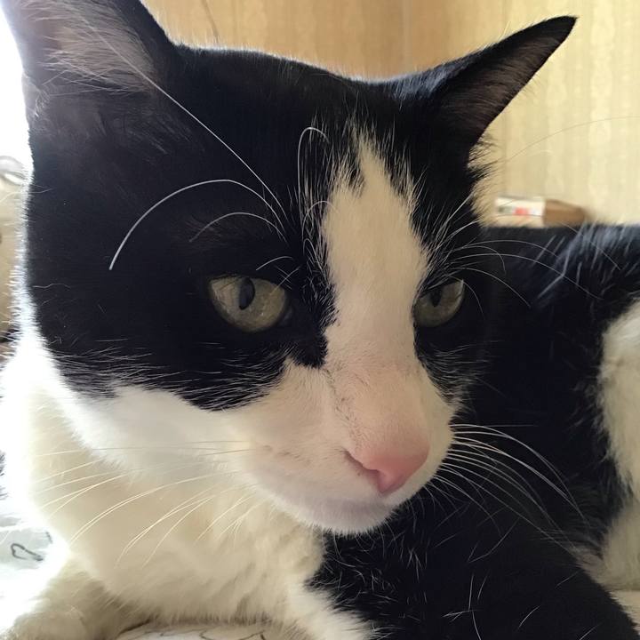 24f4671f 6e20 4b77 ba31 c0e837db8822 1751107816885