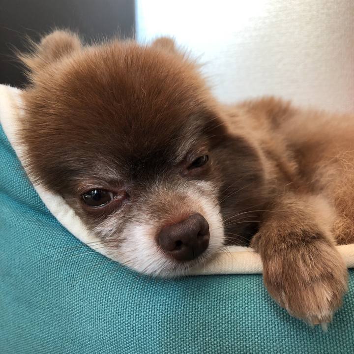 24f47050 d3ab 4dbb 831c f3c21260c0d4 1575953470566