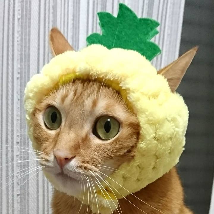 24f47e1c cfac 4faf a1e1 77937ec11075 1561805228457