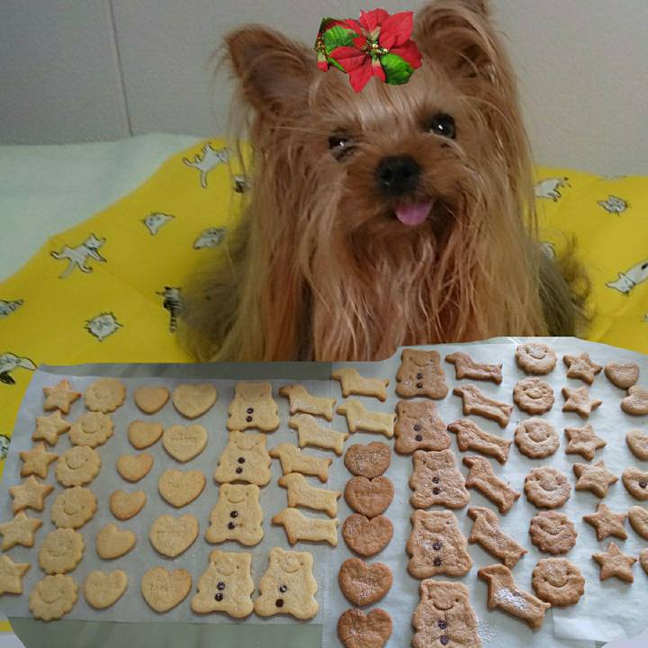 24f4c5db 20d5 49e0 bf4d f6cf2aced356 1608356031321