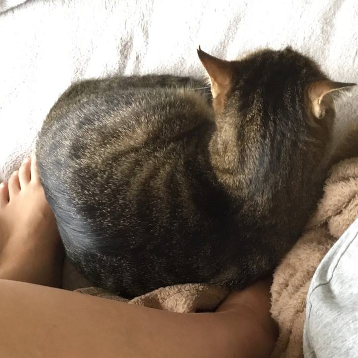 24f4d169 ade1 4b7d b00f 8c27e3b91a8d 1589935871409