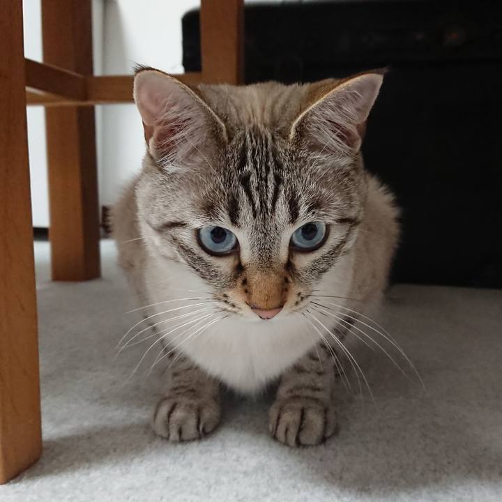 24f4f476 0923 4448 825a ccd594efb2b4 1528426777956