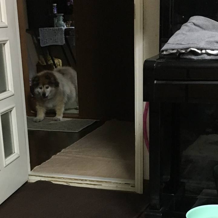 24f51dda ba13 48e6 aefd 3d0d00e91e03 1576235780901