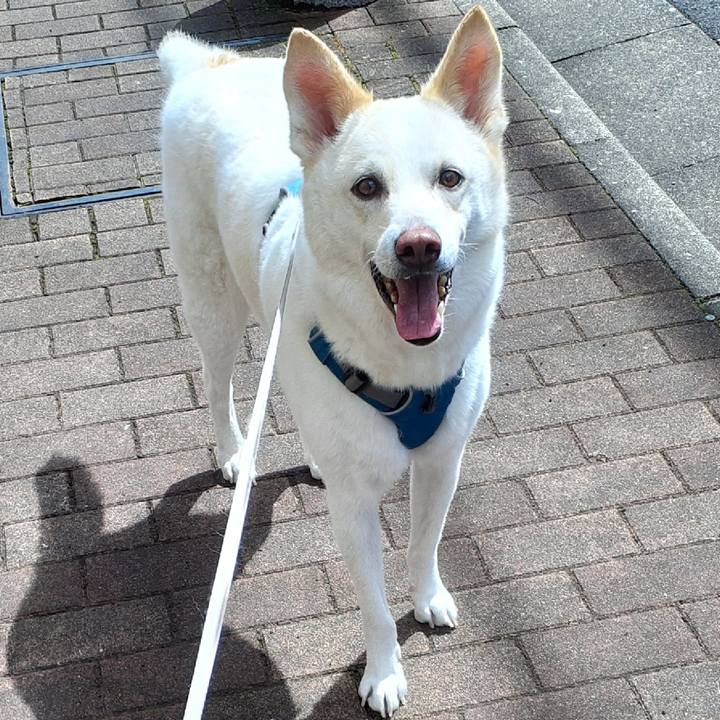 24f5338f c099 482e aa07 ac45f42233c6 1647758039257