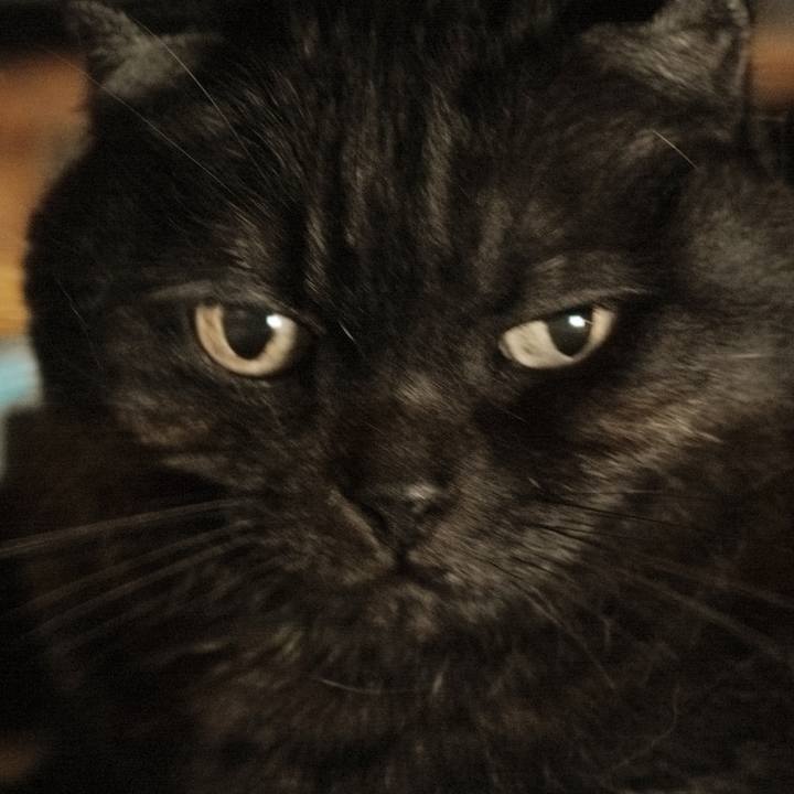 24f5d6b3 faa0 4083 8577 92ab64270ddc 1625411960483