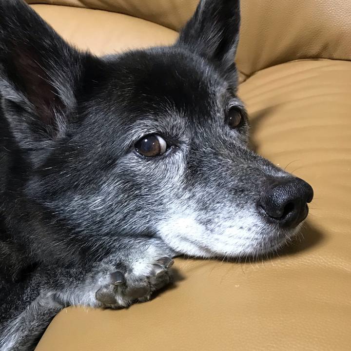 24f5e599 fea0 4d0f a469 68e03d043535 1634105217658