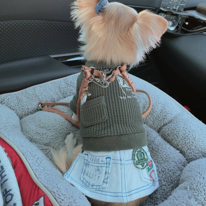 24f5f854 66bc 43e2 9992 f2546b3eb778 1700804435527