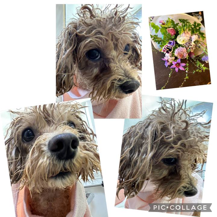 24f60de5 4d6c 46e9 b4e5 5252a8c1fa92 1705838748320