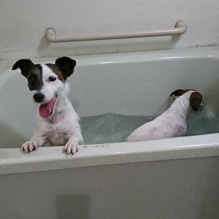 24f62242 21dc 47cd aed7 dd7258f60df8 1556412688360