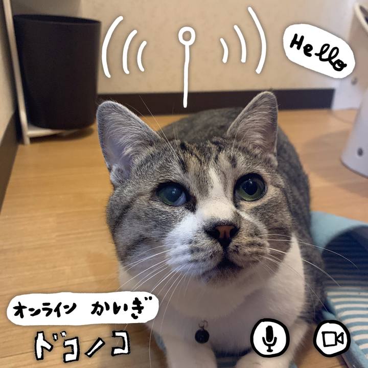 24f63288 d3b2 40e5 8906 8dc644c99dbd 1590826120567