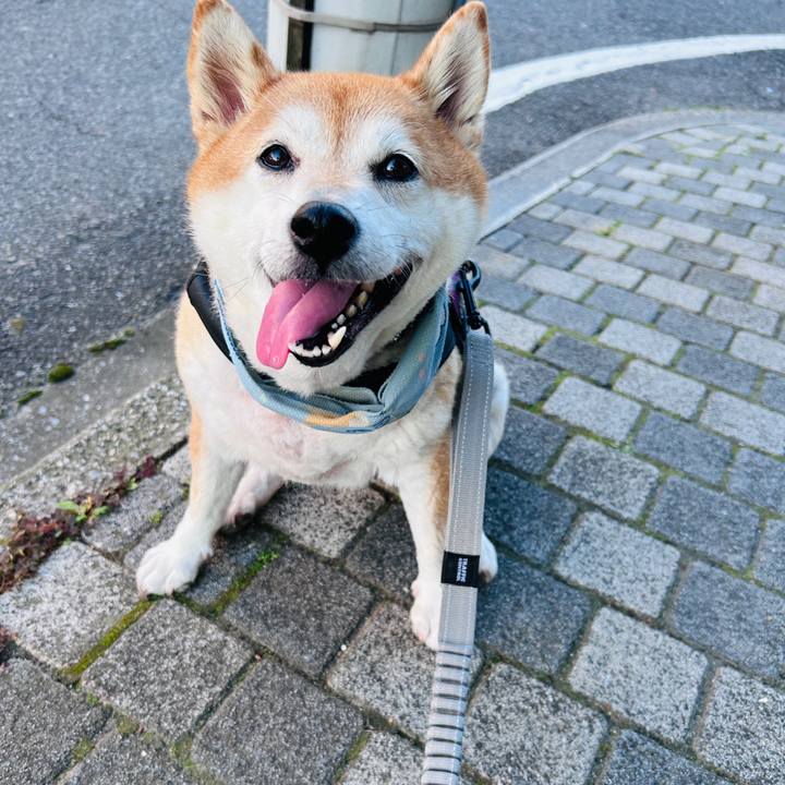 24f63bc1 f0b6 4d22 94a2 f8ad0d0890f2 1728979078220