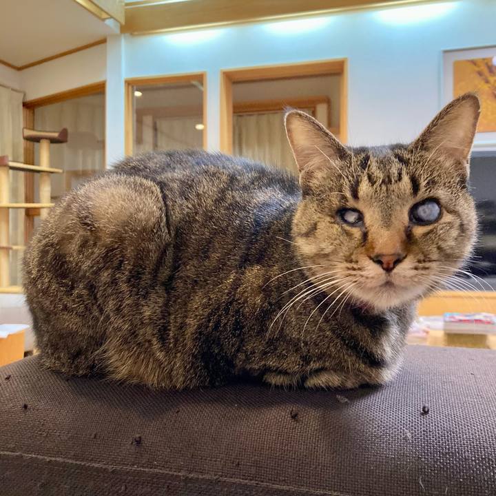 24f67d5d f27c 4d41 88af cbef01847c37 1639713688280