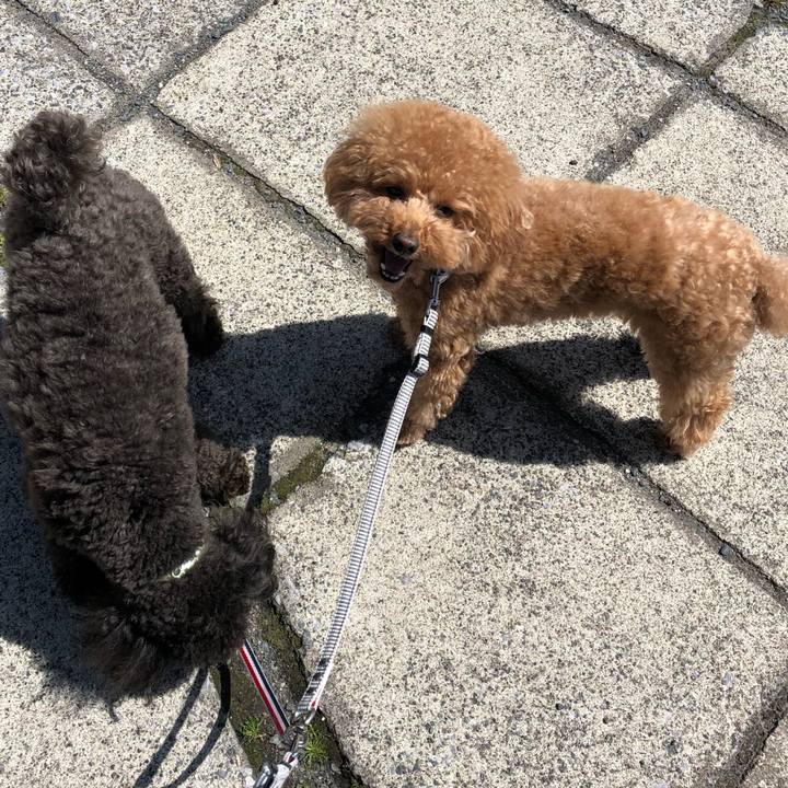 24f68b44 e2b9 4a8a a8f8 a98cd0f7fd4a 1586851180619