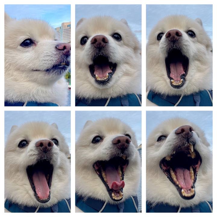 24f68c1c 7c9c 4033 9edf 60e6b32ca12b 1758891140517