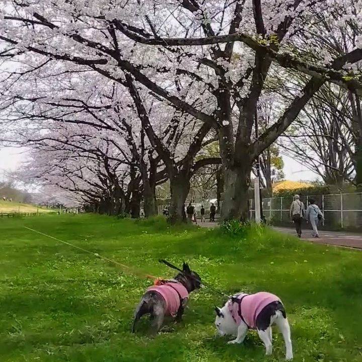 24f697ee 6df5 4df3 bacd 1772af33c10c 1712465484310