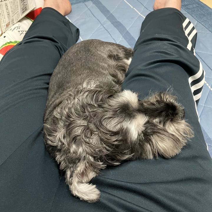 24f6e765 2281 4aa1 8d51 3f16c9cb2fee 1730519135920