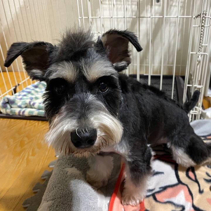 24f6e8ec 2f1f 4ed8 9200 e4659abe0c4c 1585304302795