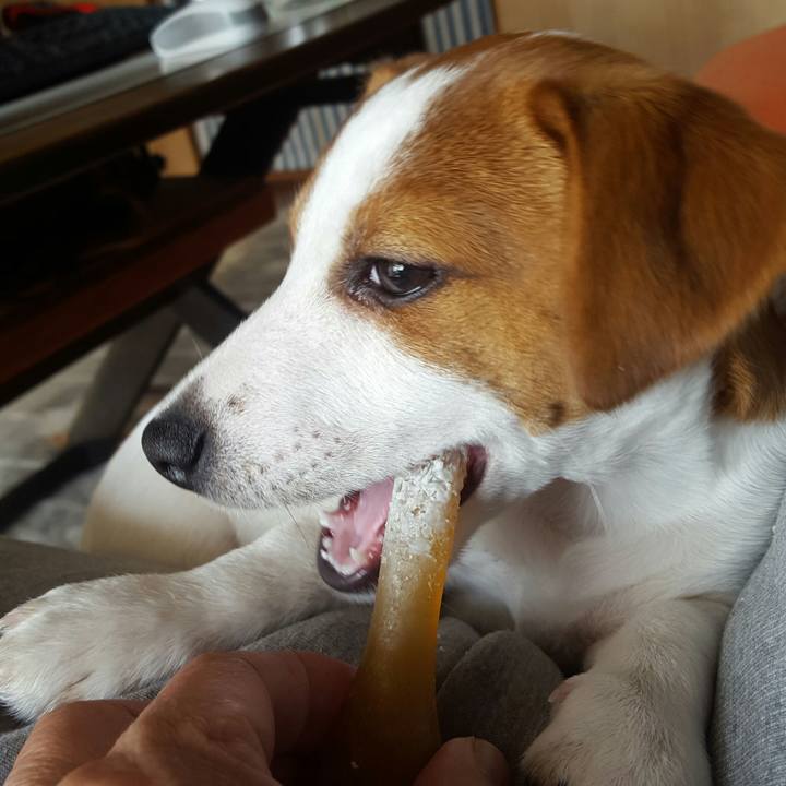 24f74a01 4173 4596 a31e 945368262b2c 1550881486269