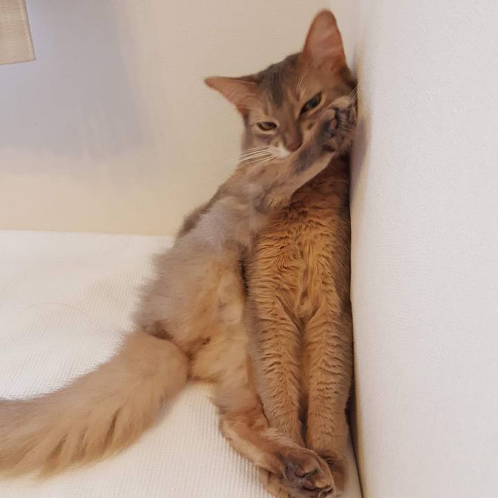 24f753e8 321b 45d4 9705 65b93836f6cb 1592622017239