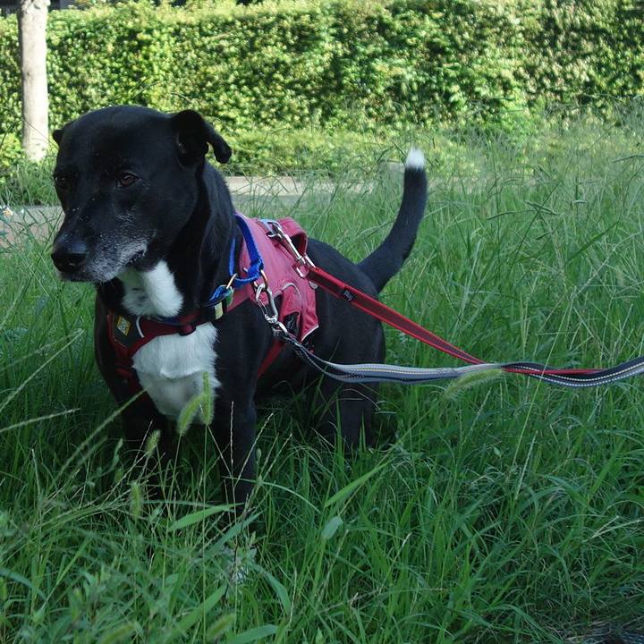 24f7e2e5 7ec8 4c6b 9e62 fa9f689c5bd6 1694478781857