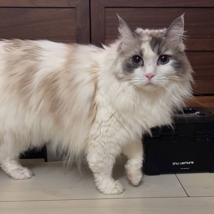 24f821cc 6b77 4c07 bdc9 ecd9c25ff2c5 1774136260697